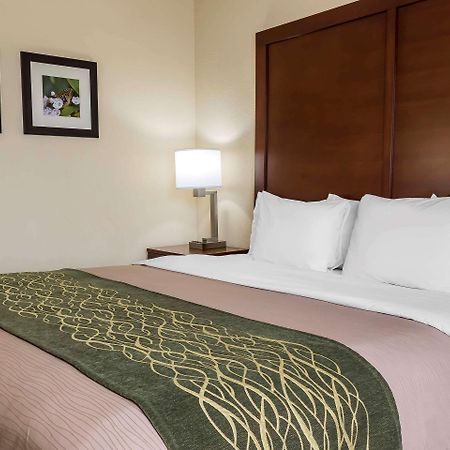 Comfort Inn - Pocono Mountains White Haven Ngoại thất bức ảnh