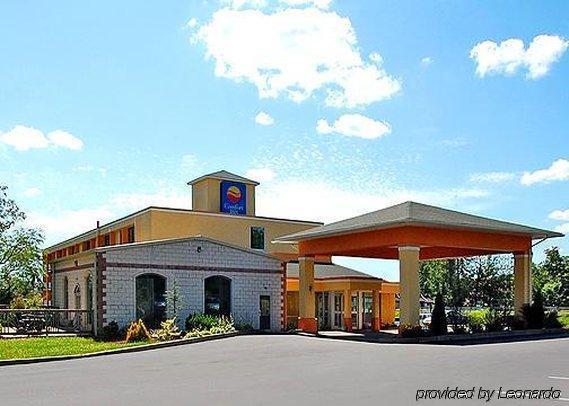 Comfort Inn - Pocono Mountains White Haven Ngoại thất bức ảnh