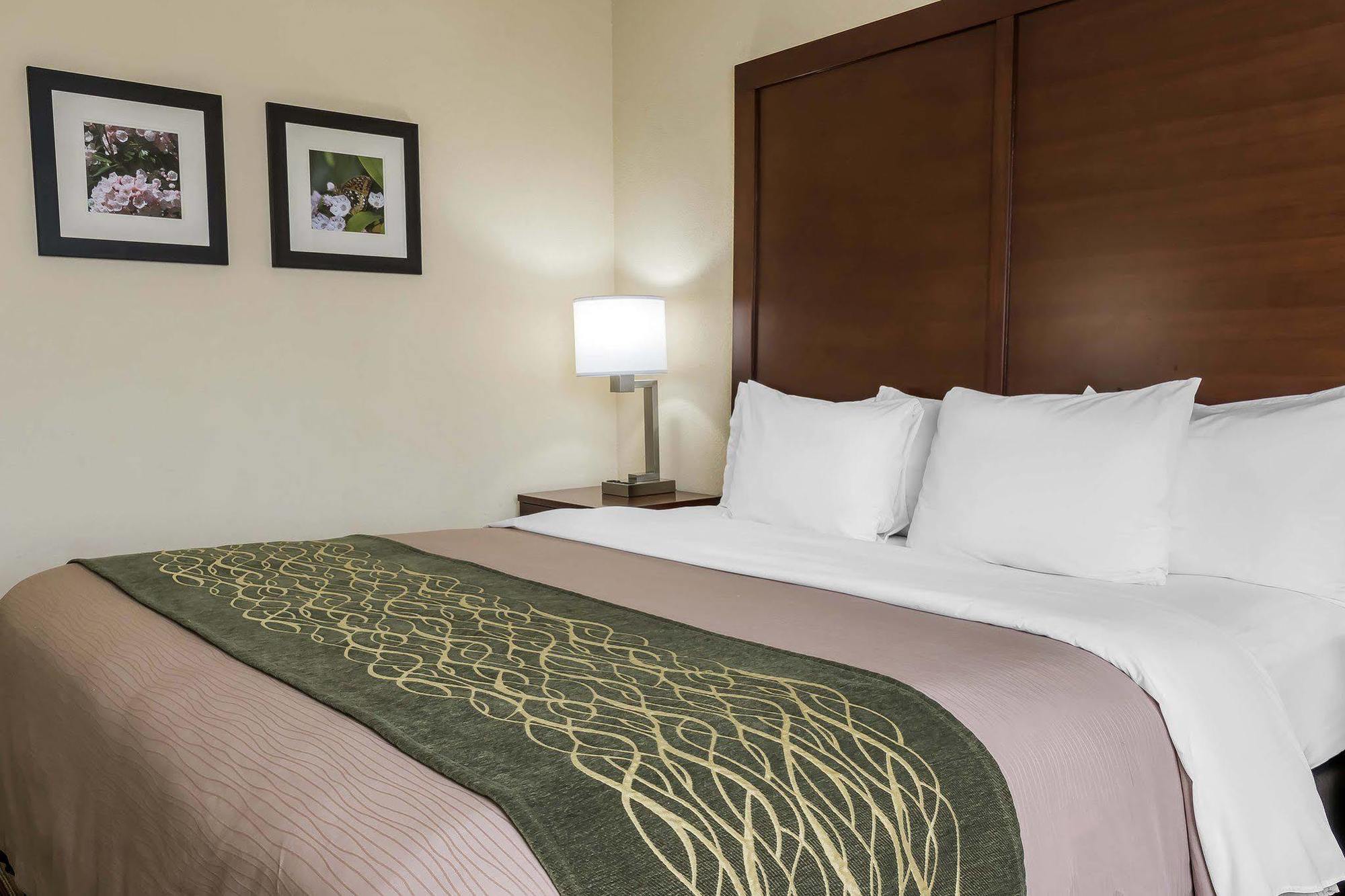 Comfort Inn - Pocono Mountains White Haven Ngoại thất bức ảnh