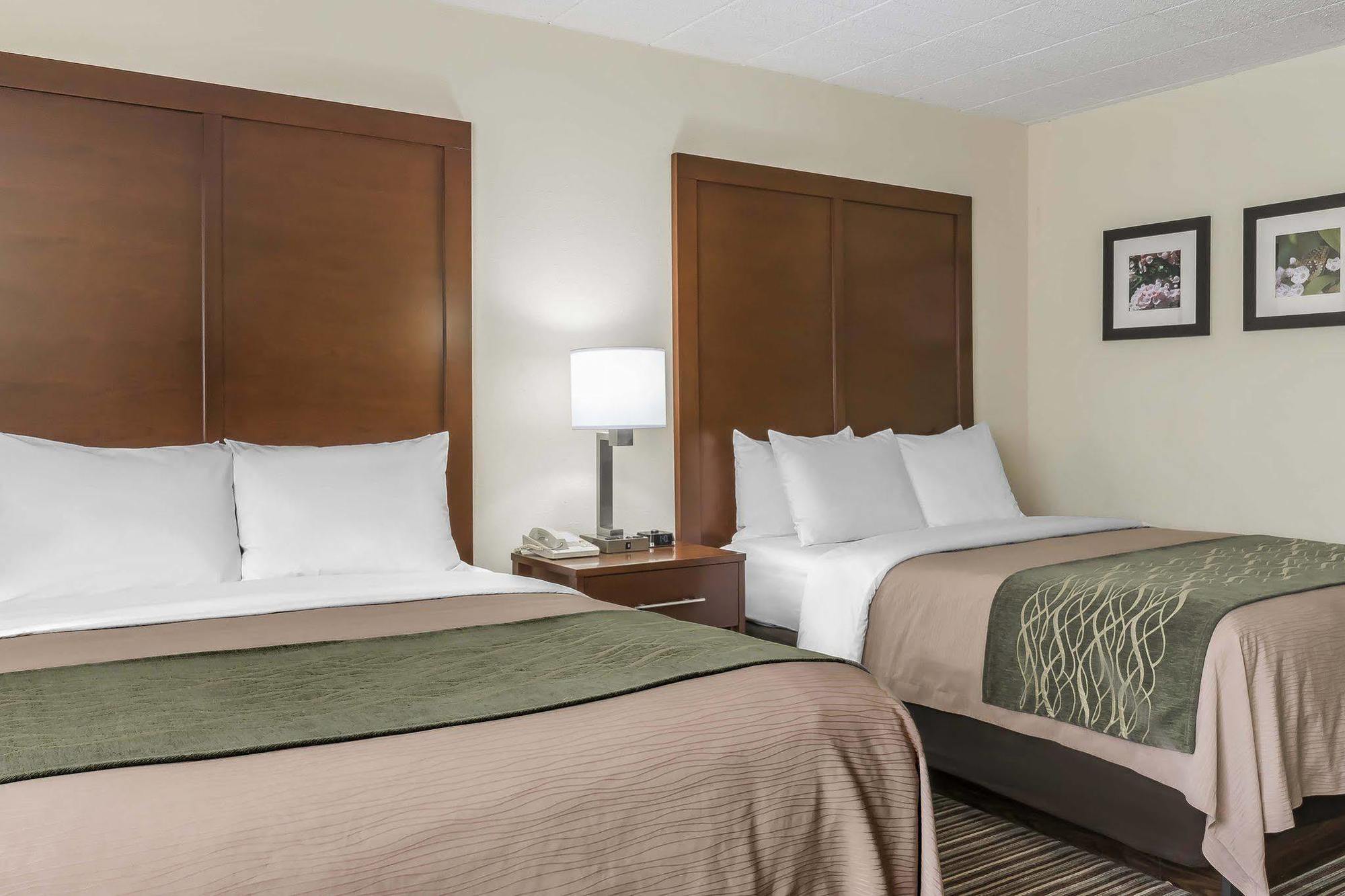 Comfort Inn - Pocono Mountains White Haven Ngoại thất bức ảnh